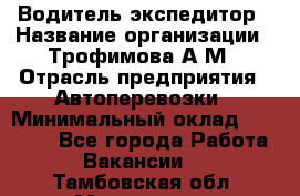 Водитель-экспедитор › Название организации ­ Трофимова А.М › Отрасль предприятия ­ Автоперевозки › Минимальный оклад ­ 65 000 - Все города Работа » Вакансии   . Тамбовская обл.,Моршанск г.